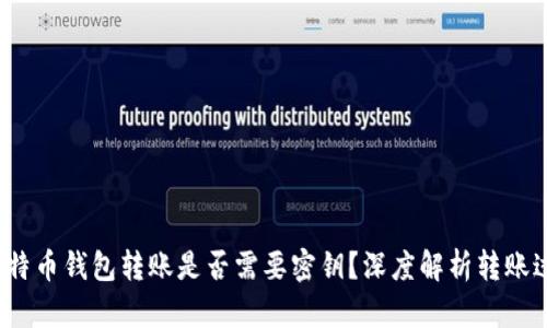 比特币钱包转账是否需要密钥?深度解析转账过程