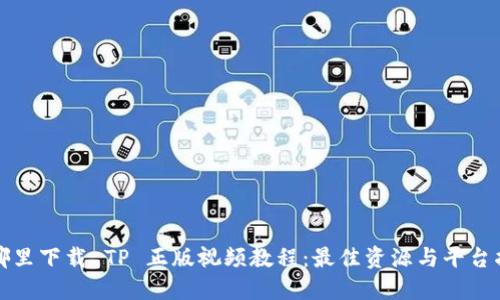 在哪里下载 TP 正版视频教程:最佳资源与平台指南