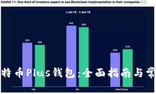 如何使用比特币Plus钱包：全面指南与常见问题解答