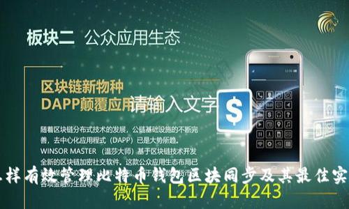 怎样有效管理比特币钱包区块同步及其最佳实践