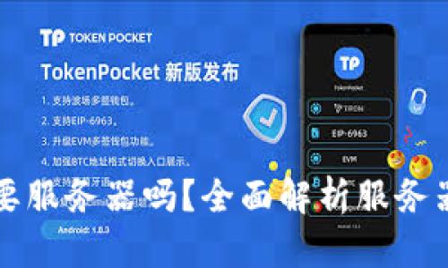 tp钱包的DApp需要服务器吗?全面解析服务器在DApp中的作用