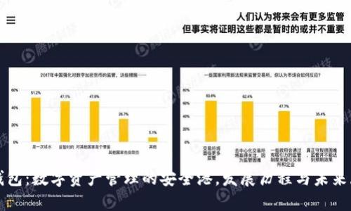 TP钱包:数字资产管理的安全港,发展历程与未来展望