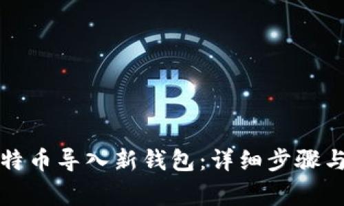 如何将比特币导入新钱包：详细步骤与注意事项