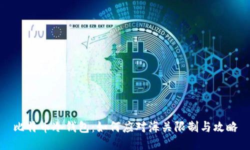 比特币冷钱包：如何应对海关限制与攻略