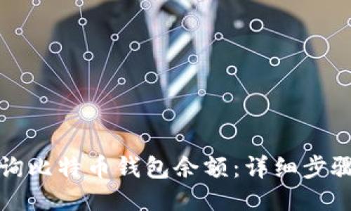如何查询比特币钱包余额：详细步骤与技巧
