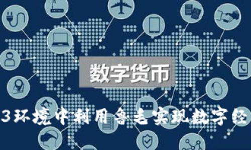 如何在Web3环境中利用鲁毛实现数字经济的新机遇