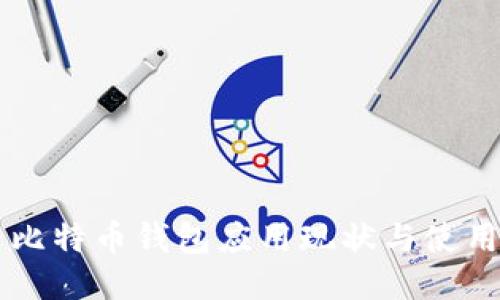 国内比特币钱包应用现状与使用指南