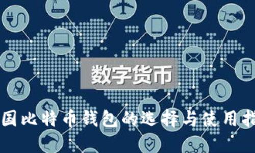中国比特币钱包的选择与使用指南
