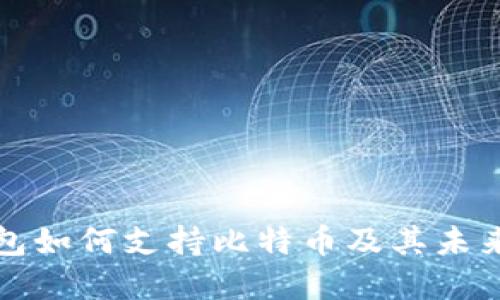 Steam钱包如何支持比特币及其未来发展趋势