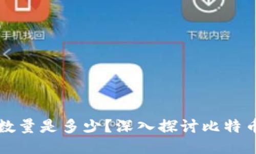 比特币钱包地址的数量是多少？深入探讨比特币地址的形成与管理