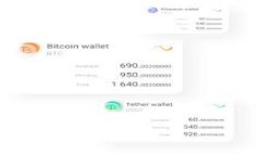 Ledger钱包如何支持USDT：安全存储和转账指南