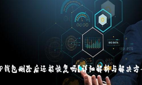 TP钱包删除后还能恢复吗？详细解析与解决方案