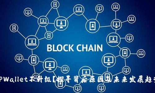 TPWallet不升级？探寻背后原因及未来发展趋势