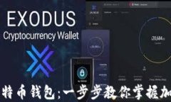 如何安全导入比特币钱包：一步步教你