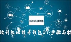 如何高效升级比特币钱包QT：步骤与技