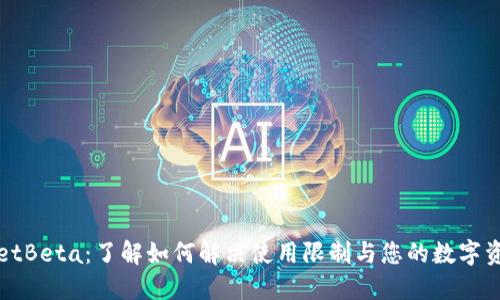 TPWalletBeta：了解如何解决使用限制与您的数字资产管理