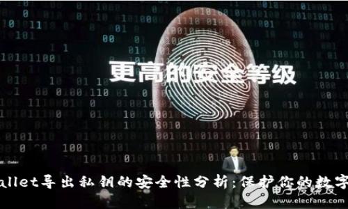 TPWallet导出私钥的安全性分析：保护你的数字资产
