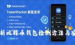 全面解析比特币钱包检测方法与安全对