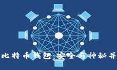 揭秘十二组密码的比特币钱包：安全与