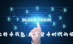 2015年比特币钱包：数字货币时代的崛