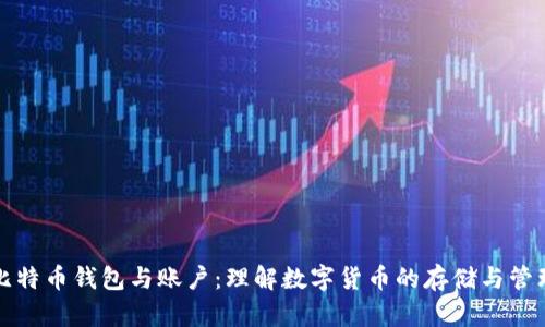 比特币钱包与账户：理解数字货币的存储与管理