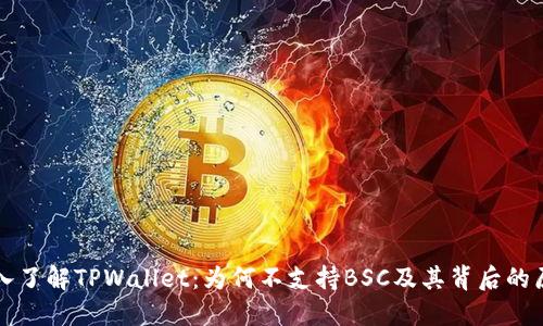 深入了解TPWallet：为何不支持BSC及其背后的原因