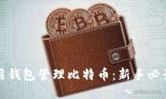 如何用钱包管理比特币：新手必读指南