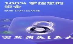 TPWallet中的币突然消失？五大原因及解