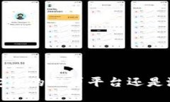 TPWallet：安全的网贷平台还是潜藏的风险？