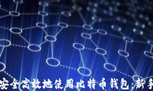 
如何安全高效地使用比特币钱包：新手指南
