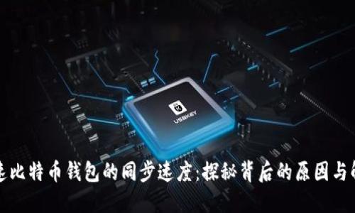 如何加速比特币钱包的同步速度：探秘背后的原因与解决方案
