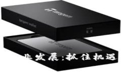 国内Web3企业发展：抓住机遇，勇闯未