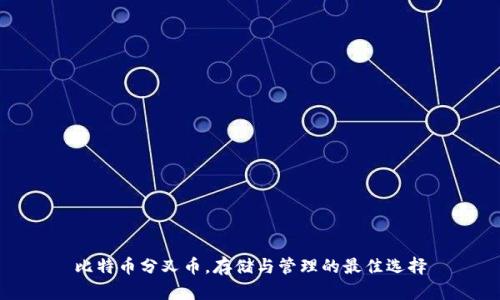 比特币分叉币，存储与管理的最佳选择