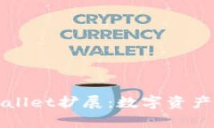 全面分析TPWallet扩展：数字资产管理的