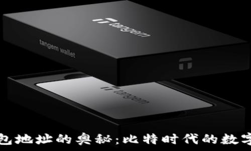   
探索零币钱包地址的奥秘：比特时代的数字货币新纪元