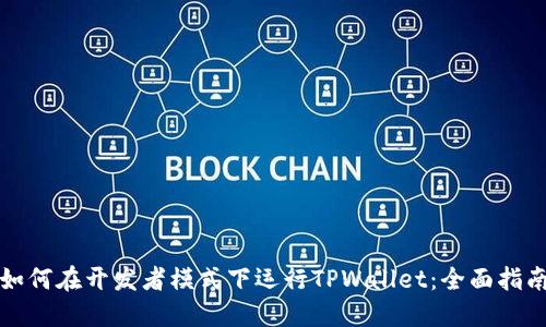 如何在开发者模式下运行TPWallet：全面指南