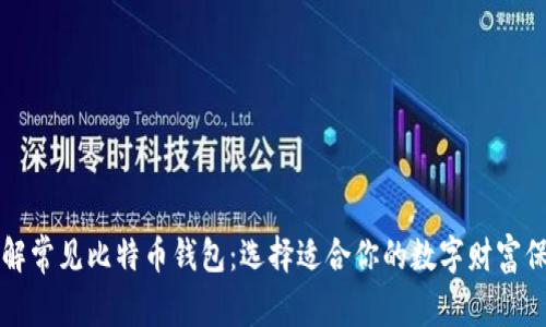 深入了解常见比特币钱包：选择适合你的数字财富保护方式