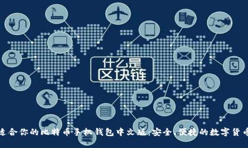 选择适合你的比特币手机钱包中文版：安全、便捷的数字货币之旅