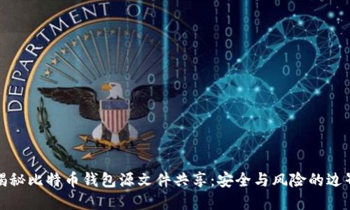 揭秘比特币钱包源文件共享：安全与风险的边界