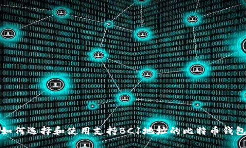 如何选择和使用支持BC1地址的比特币钱包