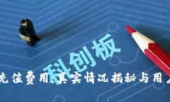 TPWallet充值费用：真实情况揭秘与用户体验分析
