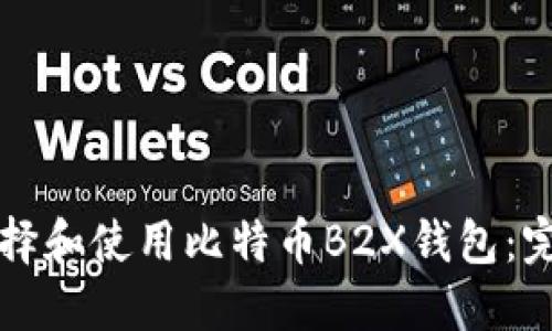 如何选择和使用比特币B2X钱包：完全指南