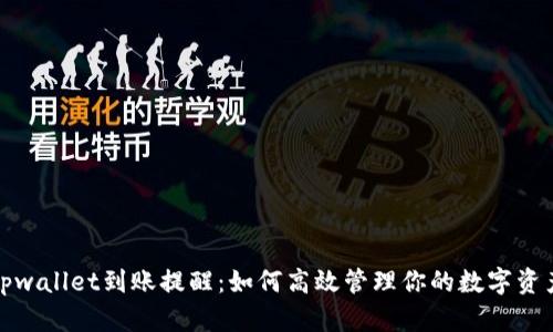 tpwallet到账提醒：如何高效管理你的数字资产