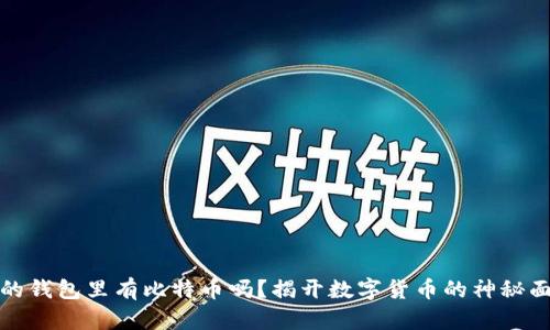 你的钱包里有比特币吗？揭开数字货币的神秘面纱