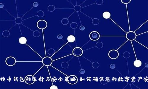 比特币钱包的选择与安全策略：如何确保您的数字资产安全