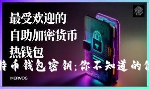 深入了解比特币钱包密钥：你不知道的位数与安全性
