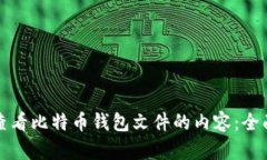 如何查看比特币钱包文件的内容：全面