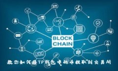 教你如何将TP钱包中的币提取到交易所