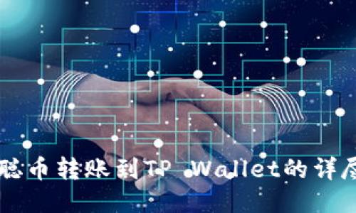 中本聪币转账到TP Wallet的详尽指南