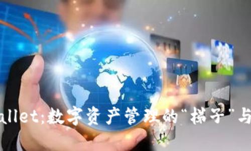 探究TPWallet：数字资产管理的“梯子”与安全保障